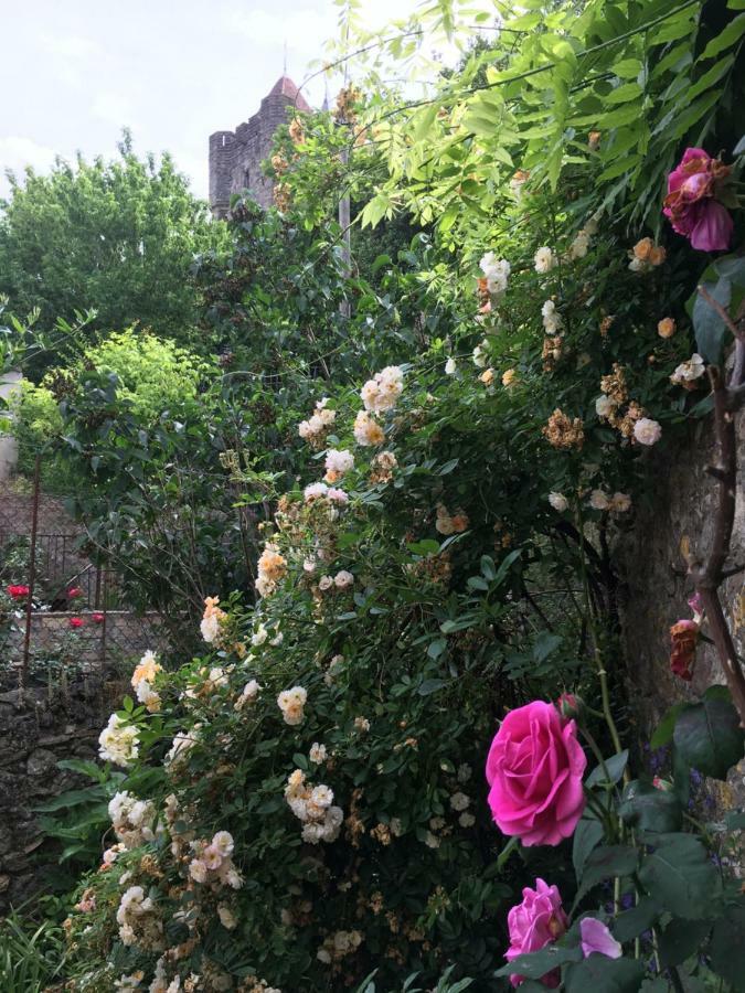 Cote Remparts Villa Carcassonne Luaran gambar